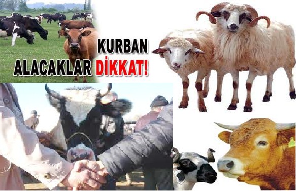 Kurbanlık piyasası hareketlendi