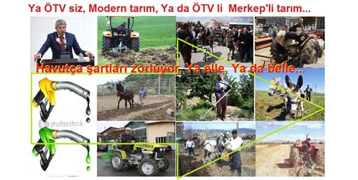   Havutça şimdide çiftçinin mazotunun peşinde