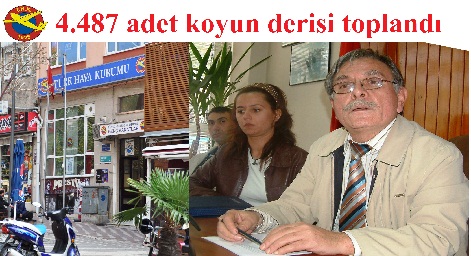 THK Bandırma Şubesi 4.487 adet koyun derisi topladı
