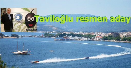 Erdek Zeytin Kooperatifinde Taviloğlu faktörü