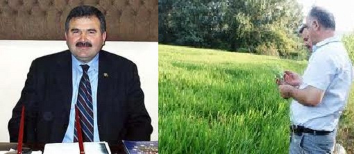 Danç; TMO fiyatları piyasayı olumsuz etkiledi