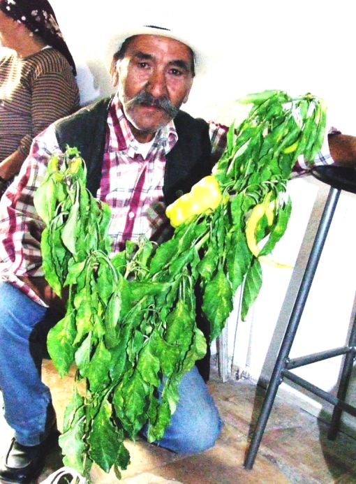   Ayni dalda iki tür Biber şaşırttı.